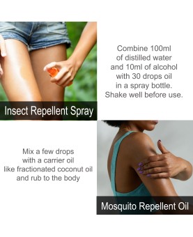 Insect Repellent Essential Oil Blend 10ml