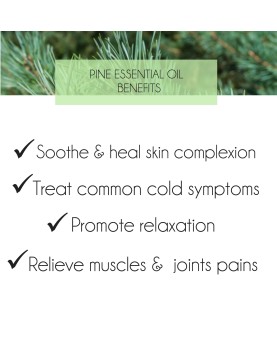 Pine Essential Oil 10ml