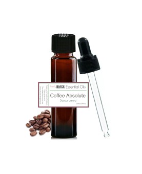 Coffee Absolute Essential Oil