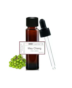Litsea May Chang Essential Oil